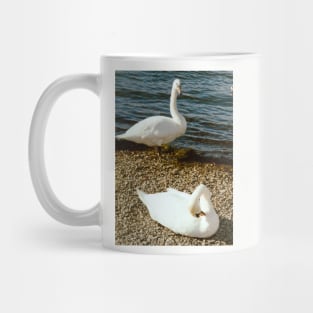 Swan song Mug